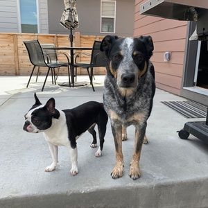 Meet your Posher, Nick